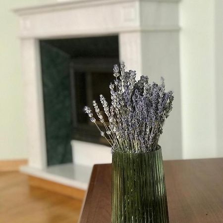 Family Apartment Near The University チェルニウツィー エクステリア 写真