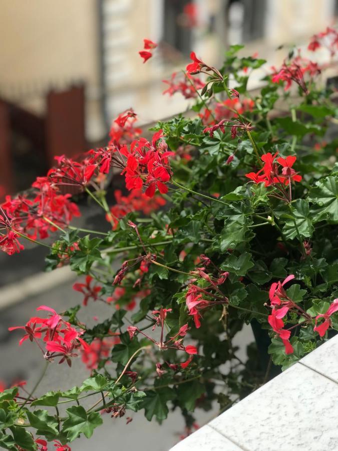 Family Apartment Near The University チェルニウツィー エクステリア 写真